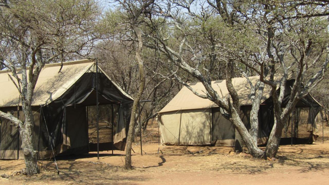 קלינאן Zebra Nature Reserve מראה חיצוני תמונה